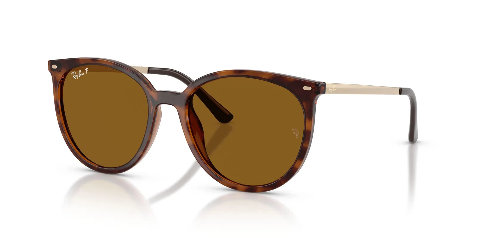 Ray-Ban 4464L Sunglasses - view 18